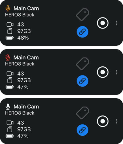 Camera microphone states